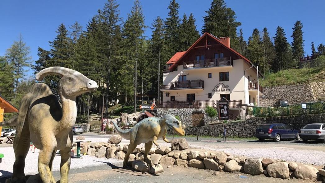 Safir Przy Samym Wyciagu Bed & Breakfast Karpacz Luaran gambar