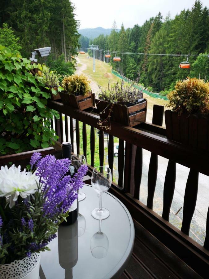 Safir Przy Samym Wyciagu Bed & Breakfast Karpacz Luaran gambar