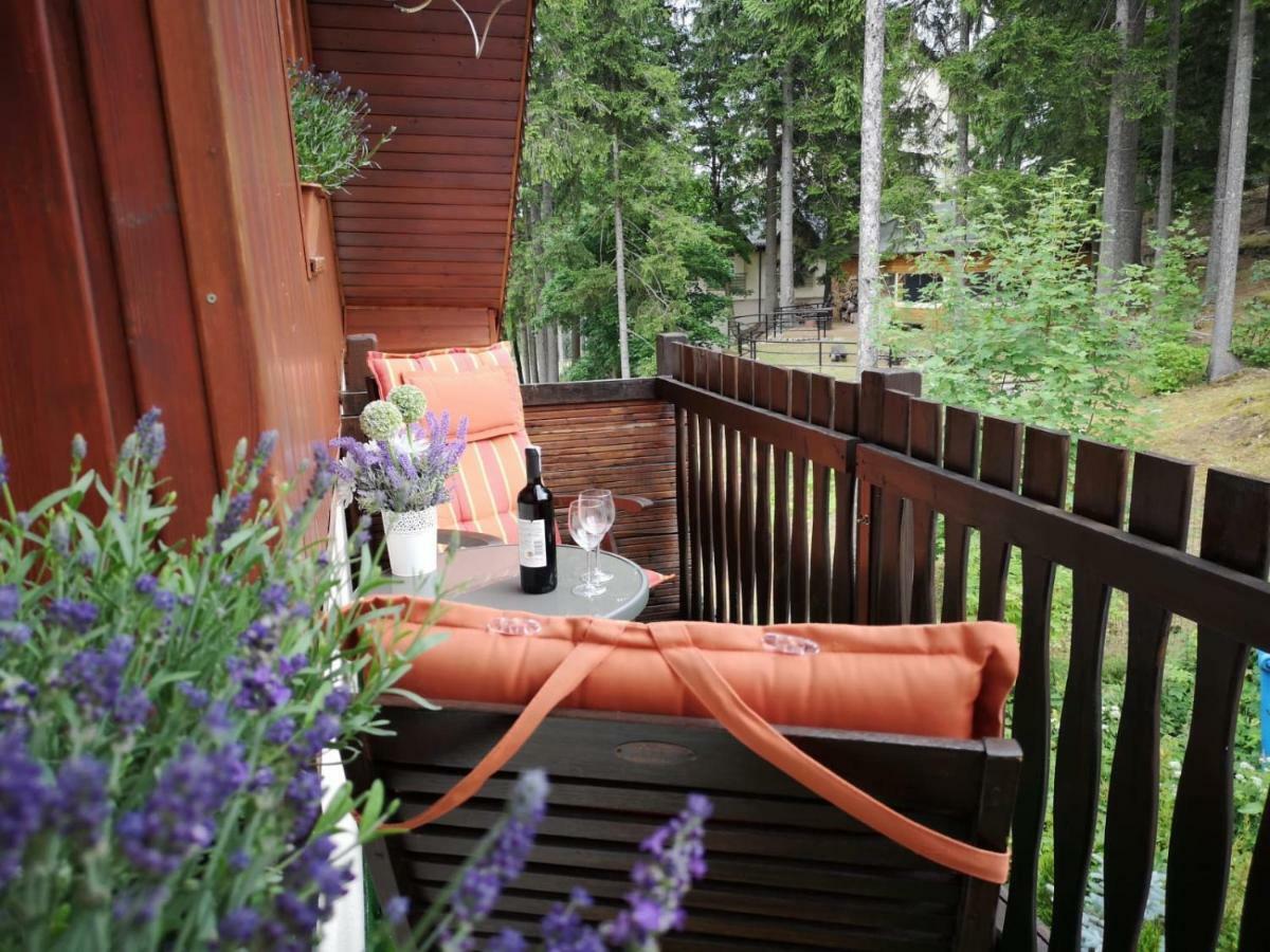 Safir Przy Samym Wyciagu Bed & Breakfast Karpacz Luaran gambar