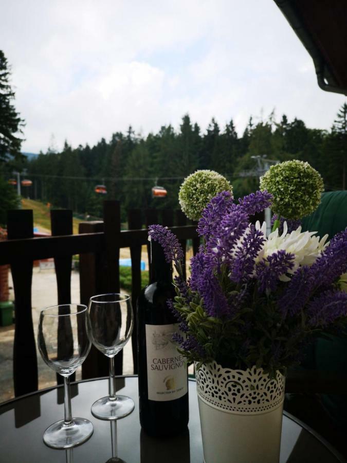 Safir Przy Samym Wyciagu Bed & Breakfast Karpacz Luaran gambar